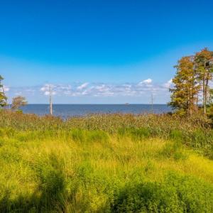 Photo #14 of 651 Taylor Beach, Columbia, NC 3.0 acres