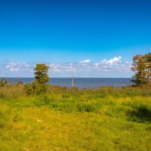 Photo #15 of 651 Taylor Beach, Columbia, NC 3.0 acres