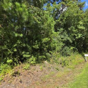 Photo #3 of Near 74 Long Leaf, Whiteville, NC 1.4 acres
