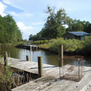 Photo #10 of 1402 Lynchs Beach Loop, Bayboro, NC 25.0 acres