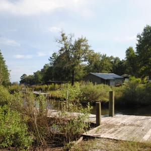 Photo #18 of 1402 Lynchs Beach Loop, Bayboro, NC 25.0 acres
