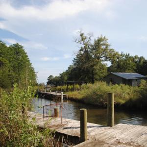 Photo #19 of 1402 Lynchs Beach Loop, Bayboro, NC 25.0 acres