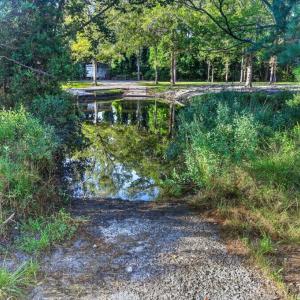 Photo #8 of 1402 Lynchs Beach Loop, Bayboro, NC 25.0 acres