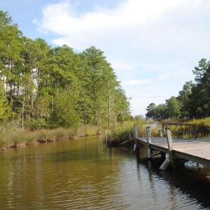 Photo #24 of 1402 Lynchs Beach Loop, Bayboro, NC 25.0 acres