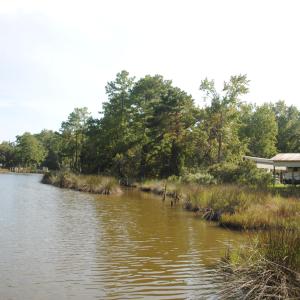 Photo #23 of 1402 Lynchs Beach Loop, Bayboro, NC 25.0 acres