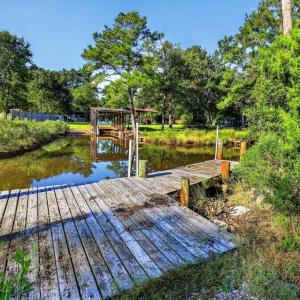 Photo #14 of 1402 Lynchs Beach Loop, Bayboro, NC 25.0 acres