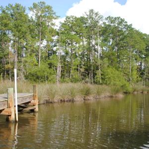 Photo #3 of 1402 Lynchs Beach Loop, Bayboro, NC 25.0 acres