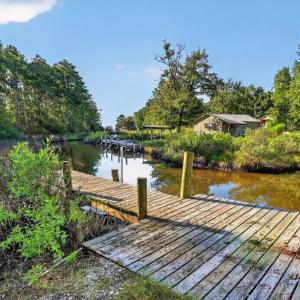 Photo #9 of 1402 Lynchs Beach Loop, Bayboro, NC 25.0 acres