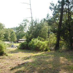 Photo #17 of 1402 Lynchs Beach Loop, Bayboro, NC 25.0 acres