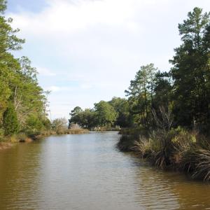 Photo #22 of 1402 Lynchs Beach Loop, Bayboro, NC 25.0 acres