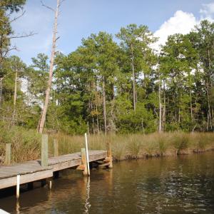 Photo #25 of 1402 Lynchs Beach Loop, Bayboro, NC 25.0 acres