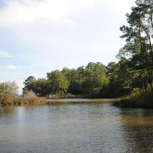 Photo #20 of 1402 Lynchs Beach Loop, Bayboro, NC 25.0 acres