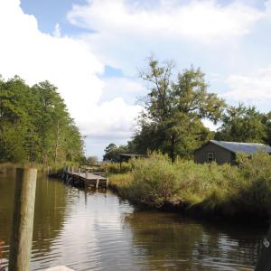 Photo #11 of 1402 Lynchs Beach Loop, Bayboro, NC 25.0 acres