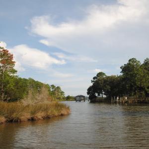Photo #26 of 1402 Lynchs Beach Loop, Bayboro, NC 25.0 acres