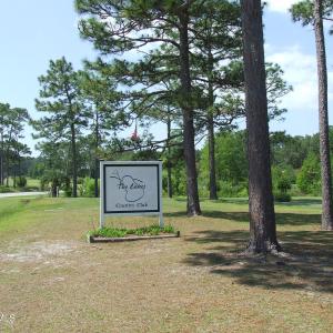 BOILING SPRING LAKES (37)