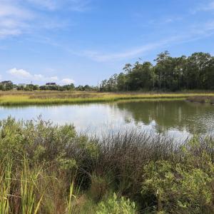 Photo #18 of 529 Sanders, Newport, NC 0.4 acres