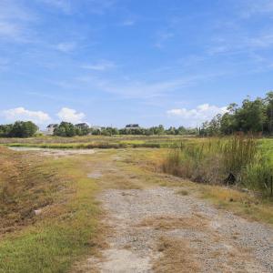Photo #14 of 529 Sanders, Newport, NC 0.4 acres