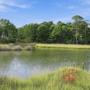 Photo #17 of 529 Sanders, Newport, NC 0.4 acres