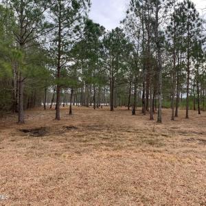 Photo #2 of Lot 37 Sunset, Belhaven, NC 1.4 acres
