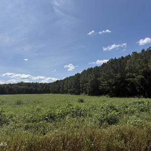 Photo #4 of Nc Highway 33, Chocowinity, NC 5.0 acres