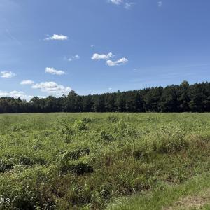 Photo #1 of Nc Highway 33, Chocowinity, NC 5.0 acres