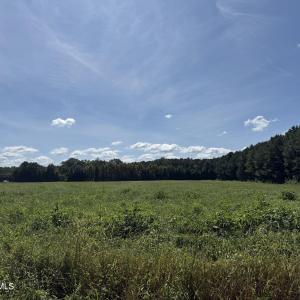 Photo #5 of Nc Highway 33, Chocowinity, NC 5.0 acres