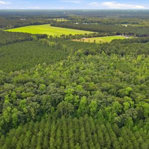 Photo #13 of Shingle Brook, New Bern, NC 9.4 acres