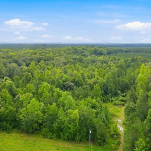Photo #4 of Shingle Brook, New Bern, NC 9.4 acres