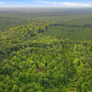 Photo #7 of Shingle Brook, New Bern, NC 9.4 acres