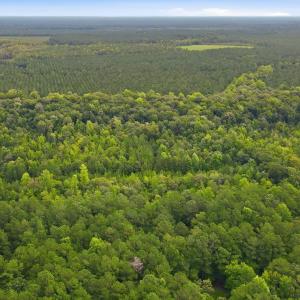 Photo #5 of Shingle Brook, New Bern, NC 9.4 acres