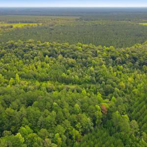 Photo #9 of Shingle Brook, New Bern, NC 9.4 acres
