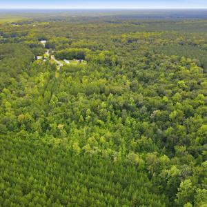Photo #6 of Shingle Brook, New Bern, NC 9.4 acres