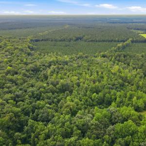 Photo #15 of Shingle Brook, New Bern, NC 9.4 acres