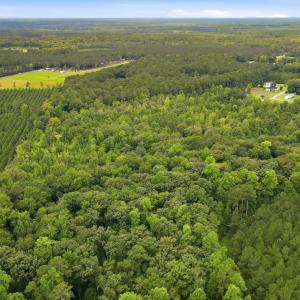 Photo #12 of Shingle Brook, New Bern, NC 9.4 acres