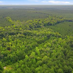 Photo #8 of Shingle Brook, New Bern, NC 9.4 acres