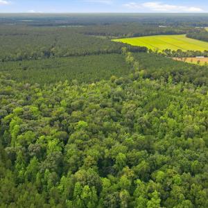 Photo #14 of Shingle Brook, New Bern, NC 9.4 acres