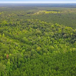 Photo #10 of Shingle Brook, New Bern, NC 9.4 acres
