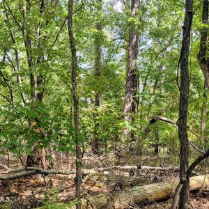 Photo #7 of 119 Waters Edge, McCormick, SC 0.5 acres