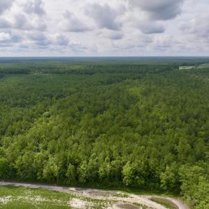 Photo #5 of 4 Cupelo, Farmville, NC 14.8 acres