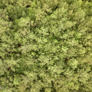 Photo #14 of 4 Cupelo, Farmville, NC 14.8 acres