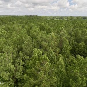 Photo #13 of 4 Cupelo, Farmville, NC 14.8 acres