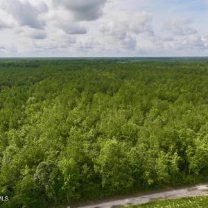 Photo #4 of 4 Cupelo, Farmville, NC 14.8 acres