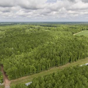 Photo #2 of 4 Cupelo, Farmville, NC 14.8 acres