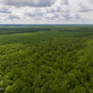 Photo #6 of 4 Cupelo, Farmville, NC 14.8 acres