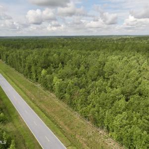 Photo #3 of 4 Cupelo, Farmville, NC 14.8 acres