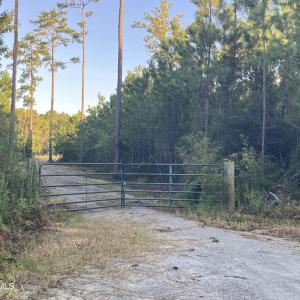 Photo #13 of 555 Upper Neck, Bayboro, NC 2.0 acres