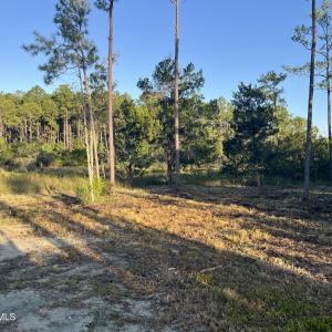 Photo #4 of 555 Upper Neck, Bayboro, NC 2.0 acres