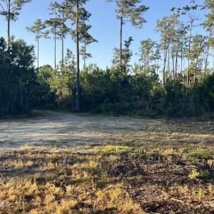 Photo #3 of 555 Upper Neck, Bayboro, NC 2.0 acres