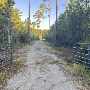 Photo #1 of 555 Upper Neck, Bayboro, NC 2.0 acres