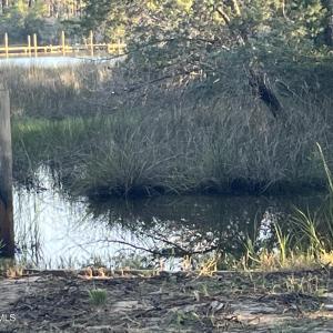 Photo #7 of 555 Upper Neck, Bayboro, NC 2.0 acres
